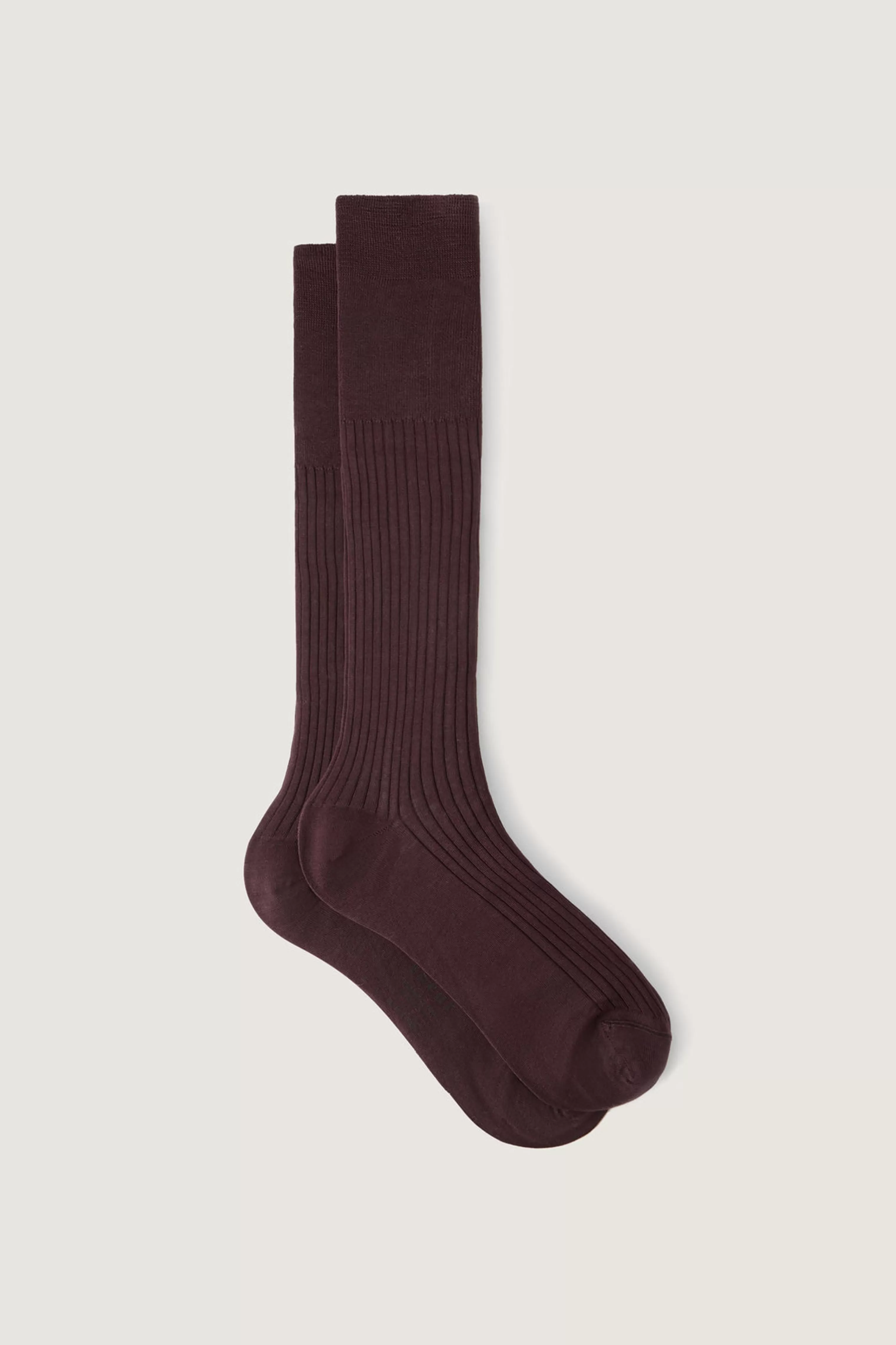 Soeur -CHAUSSETTES WALK Marron